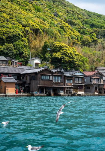 3D2N • Japan + Osaka + Kyoto + Nara City