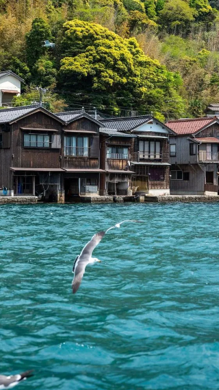 3D2N • Japan + Osaka + Kyoto + Nara City