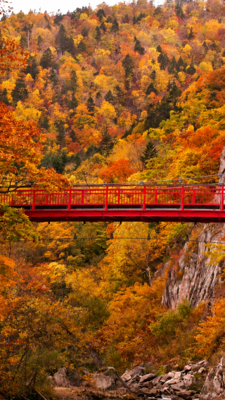 7D6N • Hokkaido autumn special: red leaf wonders at Akan Lake & Sounkyo: Otaru Canal stroll & Sapporo city experiences