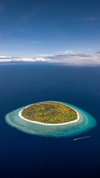 2D1N • Bohol Highlights Day Tour: Dolphin Watching + Balicasag Wall Snorkeling + Virgin Island Sandbar + Chocolate Hills + Loboc River Cruise + Tarsier Sanctuary Visit