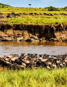 9D8N • 9 days, 8 nights budget Kenya and Tanzania safari