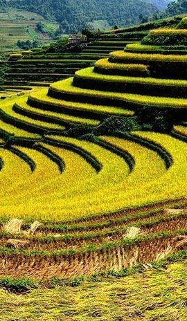 2D1N • From Hanoi: Sapa Real Experience 2-Day 1 Night at Ethnic Homestay