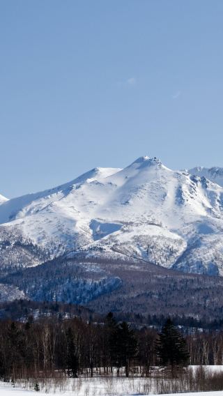 9D8N • Round trip via Sapporo Japan + covering Lake Shikotsu + Noboribetsu + Hakodate + Lake Toya + Otaru + Asahikawa and Furano