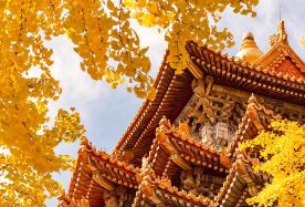 4D3N · Private Tours · Ancient capital Beijing 4-day exclusive private journey · No shopping stops - 3 nights in JI Hotel(Beijing),   an English-speaking guide-driver. 