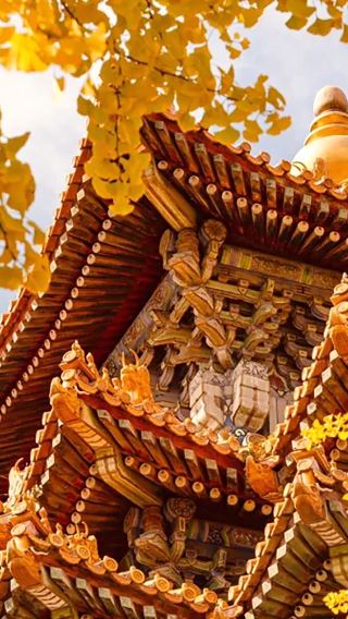 4D3N • Ancient capital Beijing 4-day exclusive private journey