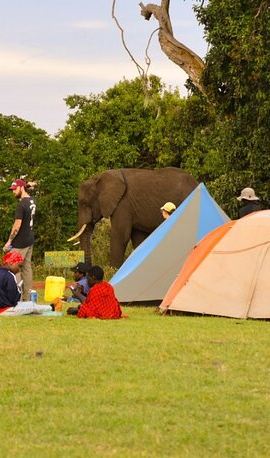 4D3N • 4 days Tanzania group safari to Serengeti, Crater and Tarangire