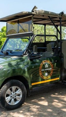 4D3N • 4 Day Kruger Glamping Safari and Panorama Tour