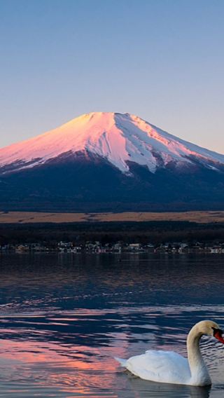 6天5晚 • 日本東京＋富士山＋箱根＋鎌倉＋伊豆 「關東五城聯遊＆深度暢玩」專車接送機｜山海風光＆都市漫遊 東京富士山箱根鎌倉伊豆全體驗
