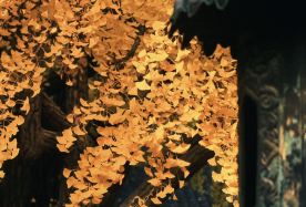 6日5晚 · 旅行團 · 天安門廣場＋北京八達嶺長城＋故宮博物院＋天壇公園＋頤和園