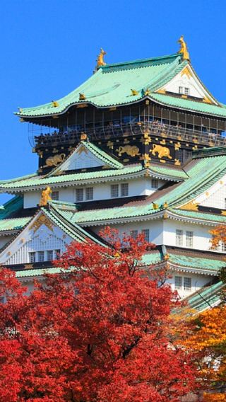4D3N • Tokyo & Mount Fuji, Japan Highlights Tour around Mt. Fuji: 5th Station, Oshino Hakkai & Gotemba Premium Outlets Private Airport Transfers | Admire Fuji Views, Explore Natural Springs&Shop Brand Items