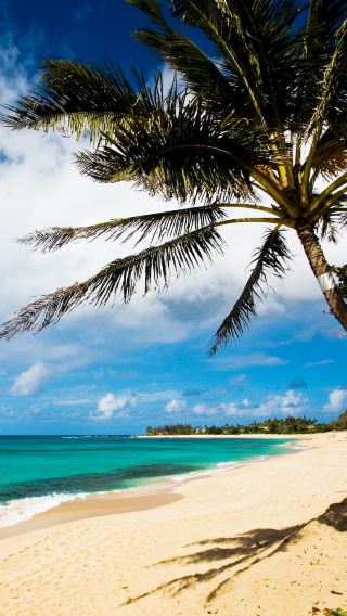 3D2N • Oahu + Maui + Kauai