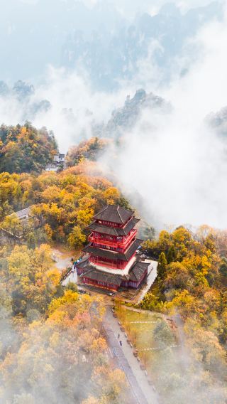 8天7晚 • 武漢＋張家界＋鳳凰古城「城市高鐵直達＆全程省 8 小時」世界遺產＋阿凡達＋千年古鎮＋網紅都市一次玩遍｜全程入住 4 鑽高檔飯店