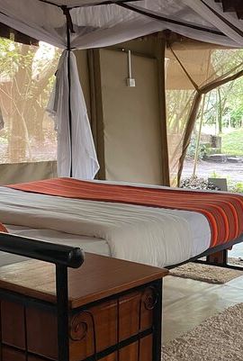 3D2N • Adventure-fueled 3 Days Maasai Mara Safari