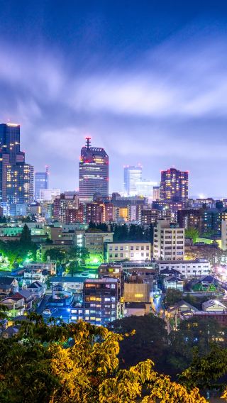 17D16N • Japanese Scenes