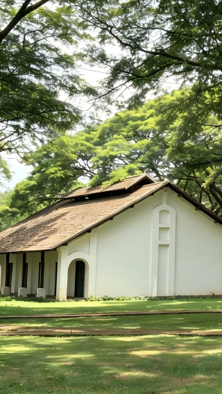 6天5晚 • 藏在寮國的神仙秘境，清晨佈施、光西瀑布、大象營地，小眾拍照天花板，非遺深度體驗