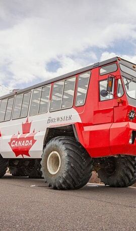 2D1N • 2 Days Banff and Jasper Tour : Lakes, Glaciers and Hot Springs