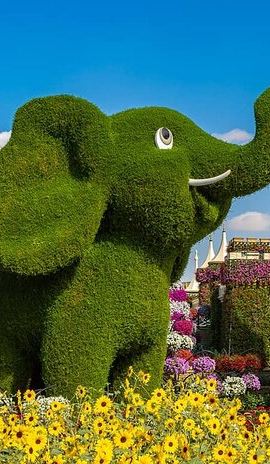 2D1N • Miracle Garden Admission Tickets with Transfer Options