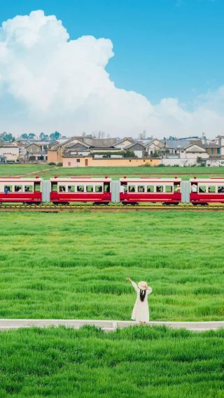 12D11N • Interesting Yunnan & Guizhou, exclusive for international visitors: Kunming + Dali City + Lijiang + Shangri-La + Guiyang + Libo + Huangguoshu Waterfall 