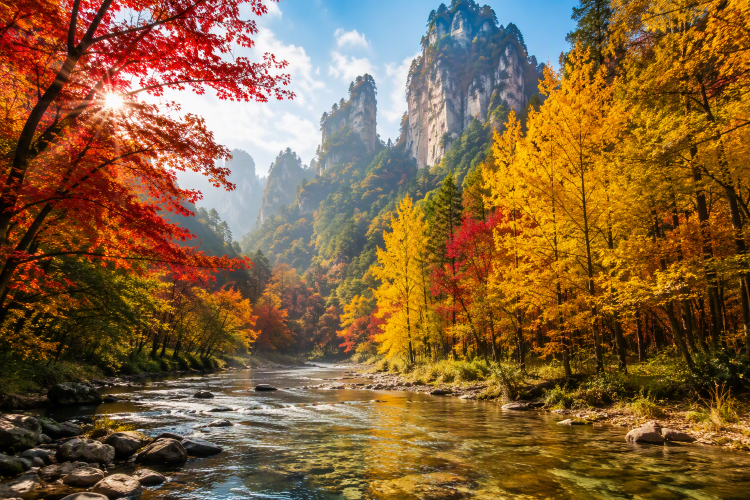 image_grid_main
