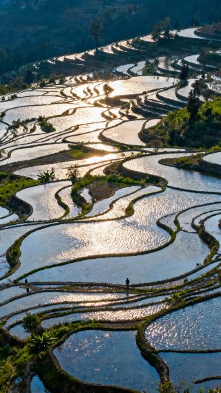 6D5N • International Tourists Only · Karst & Terraces: Guilin-Yangshuo Ultimate Journey·Free upgrade to tour guide accompaniment for groups above 6