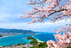 5D4N · Private Tours · Japan + Osaka + Kyoto · Experience the excitement of Universal Studios Japan, and admire the cherry blossom of Kyoto and the thatched-roof villages of Miyama Town.