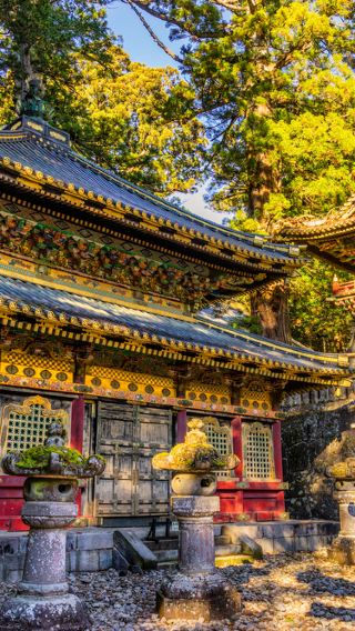 19D18N • Japanese Scenes and Mount Fuji