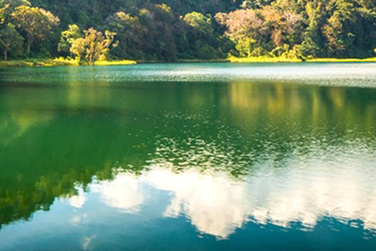 image_grid_sub1