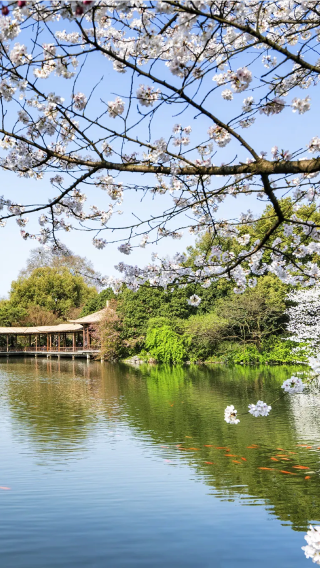 7D6N • Enchanting Jiangnan Getaway: Experience Shanghai, Suzhou, Wuxi, Hangzhou, and Wuzhen, including a visit to Oriental Salt Lake City