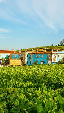 4D3N • Galicia 4-day Food & Wine Private Tour