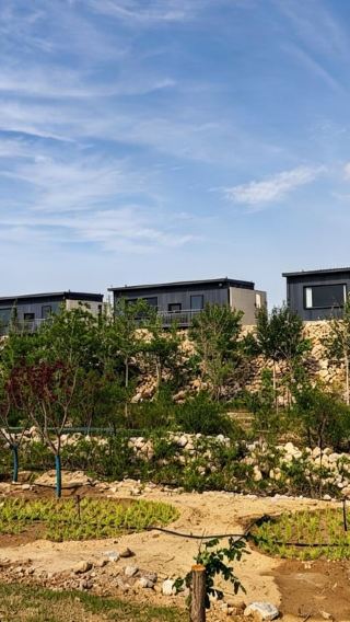 3D2N • Ningxia: 3-Day Wine Country & Desert Adventure with Meals