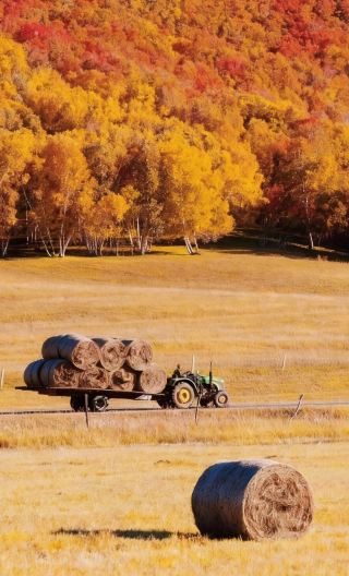 5D4N • Chengde + Wulanbutong Steppe Tourist Area + Wulan Butong Grassland