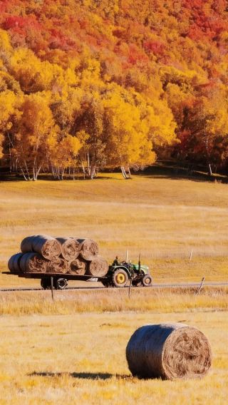 6D5N • Beijing + Qinhuangdao + Chengde + Ulan Butung Grasslands + Mulan Paddock