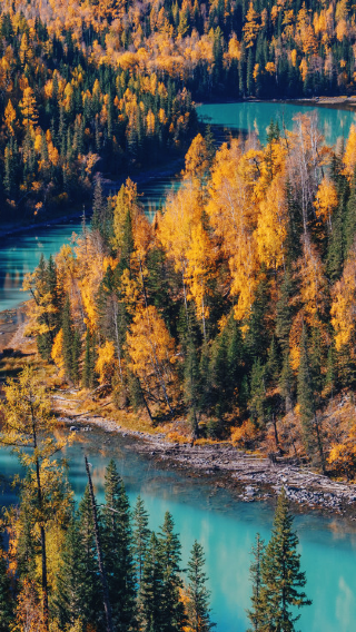 8D7N • Northern Xinjiang + Kanas Scenic Area + Hemu Scenic Area + Sayram Lake