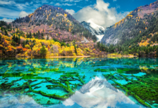 8D7N · Group Tours · China + Sichuan + Jiuzhaigou + Huanglong National Scenic Area + Chengdu Research Base of Giant Panda Breeding + Sanxingdui Museum + Leshan Giant Buddha + Mount Emei · Group for international travelers, no shopping with senior guide, free transfer, specialty meals. 1-12 person luxury tour, accommodates in luxury hotels, appreciating the most beautiful scenery of Jiuzhaigou with scenic vehicles.