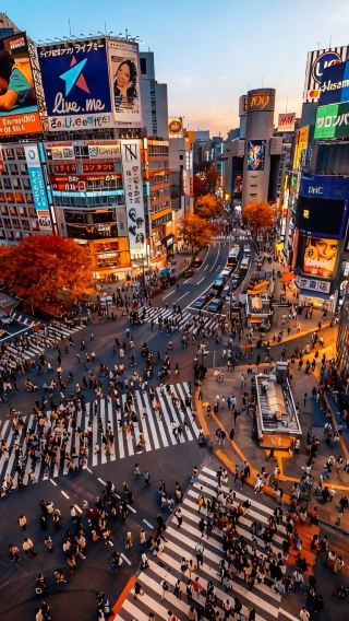5天4晚 • 日本東京+橫濱+東京迪士尼樂園+富士山Yeti滑雪度假村