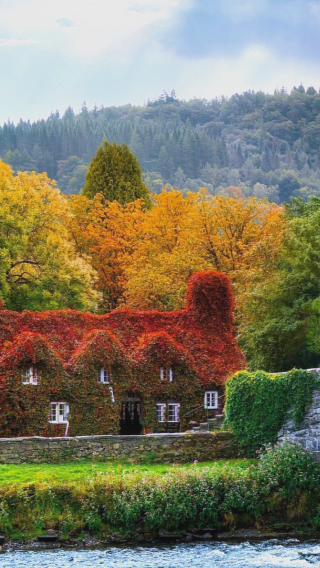 5D4N • United Kingdom + Manchester + Llandudno + Snowdonia National Park + Cardiff