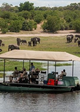 3D2N • 2 Nights 3 Days Chobe Safari ex Livingstone/ Victoria Falls