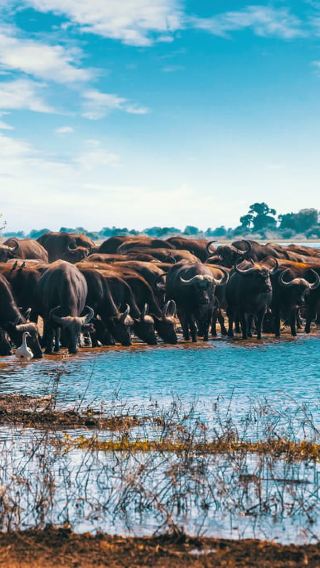 4D3N • Kandy 4-Day Sri Lanka Full Circle Private Tour All-inclusive