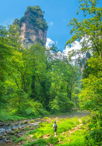 3日2晚 • 張家界＋武陵源＋天門山