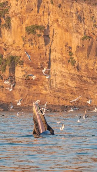 4天3晚 • 小費全包「北海逐浪，潿洲尋嶼」精品6人小團海島之旅｜騎樓拱廊北海老街｜浪漫邂逅潿洲島｜展開浪漫海島之旅