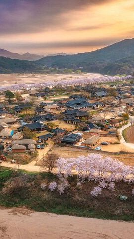 5D4N • 5-Day Korea Golden route by K-shuttle Tour from Seoul Including Busan, Yeosu