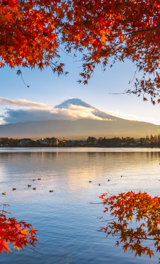 2D1N • Two‑Day Tour‑ Mount Fuji - Kamakura‑ Complimentary Enoden Experience‑ Hotel Accommodation Included‑ Asama Park - Hikawa Clock Shop - Great Buddha of Kamakura‑ Guides speaking Chinese or English will be available throughout the trip