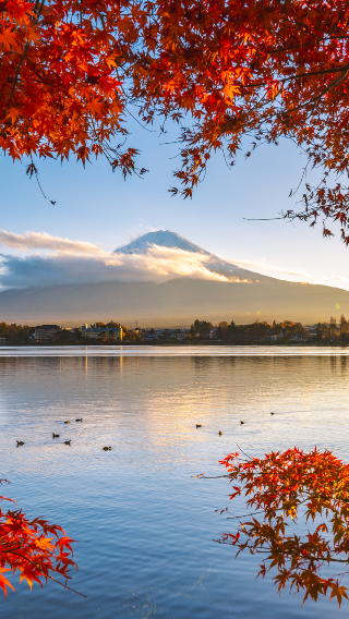 2D1N • Two‑Day Tour‑ Mount Fuji - Kamakura‑ Complimentary Enoden Experience‑ Hotel Accommodation Included‑ Asama Park - Hikawa Clock Shop - Great Buddha of Kamakura‑ Guides speaking Chinese or English will be available throughout the trip