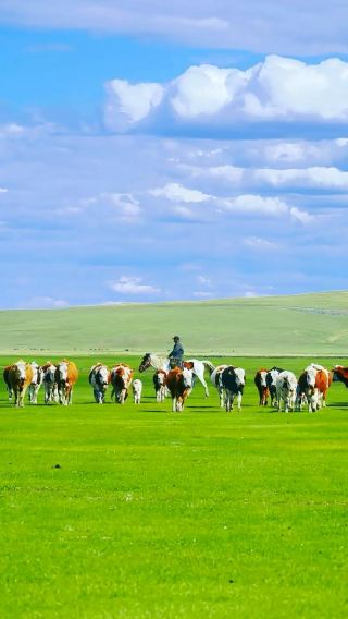 2D1N • Inner Mongolia, China + Hohhot + Ulan Hada Volcano Geopark + Huitengxile Grassland + Hassuhai + Kubuqi Desert 