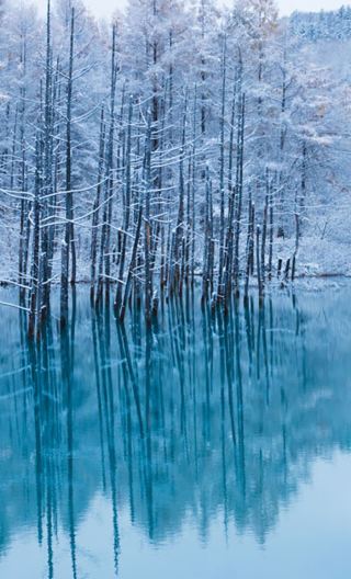 8D7N • Hokkaido Winter Wonderland: Noboribetsu Hot Springs + Lake Toya Cruise + Mount Asahi + Asahiyama Zoo + Blue Pond + Shirahige Falls + Sapporo White Illumination