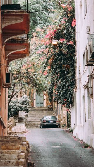 6D5N • Lebanon
