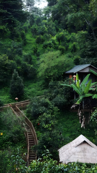 6D5N • Yunnan + Kunming + Xishuangbannan + Xishuangbanna Tropical Botanical Garden