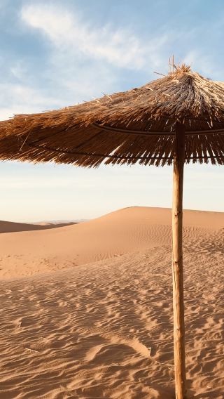 5D4N • Ningxia + Yinchuan + Zhongwei Shapotou Scenic Area