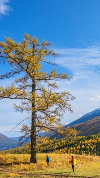 16D15N • Urumqi + Northern Xinjiang + Southern Xinjiang + Hemu Scenic Area + Sayram Lake + Nalati Scenic Area + Duku Highway + Kashgar City + Altay Prefecture