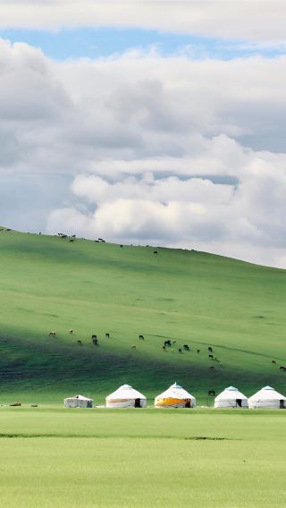 5D4N • Hulunbuir + Ergun + ManzhouliEnjoy grass skiing and horseback riding on the grasslands